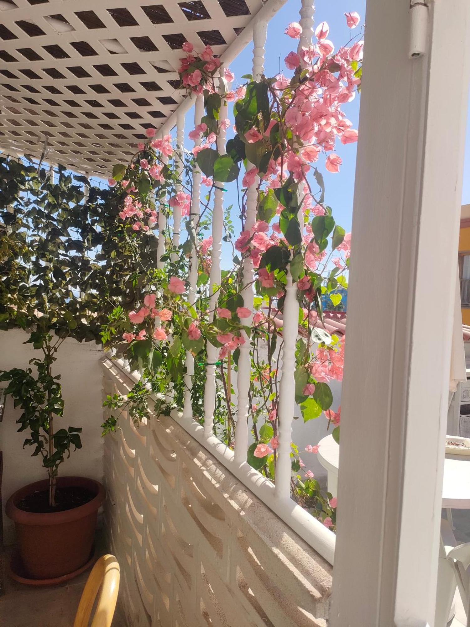 Casa Alba 2 Aparthotel Puerto del Rosario  Ngoại thất bức ảnh